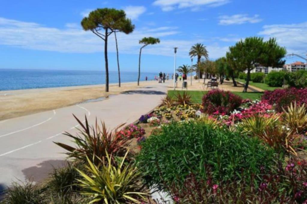 Luxury Apartamenty Pineda de Mar Zewnętrze zdjęcie
